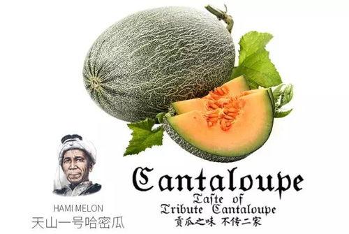 网红吃瓜营销号,揭秘娱乐圈幕后真相，带你领略明星生活！