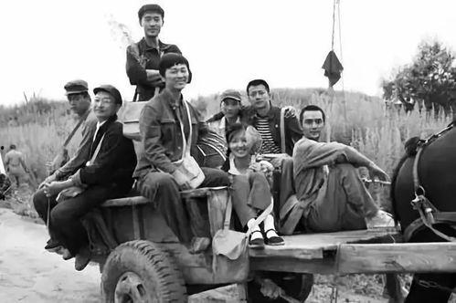 对照组知青吃瓜日常书包网,揭秘书包网背后的青春岁月