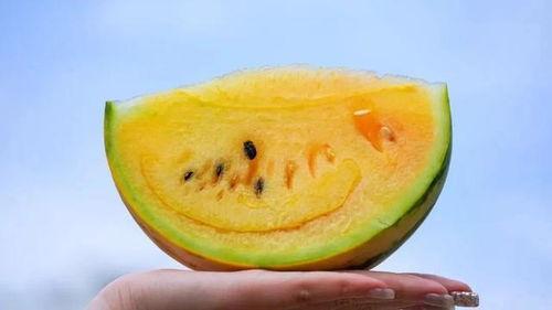 吃瓜网 我是云南的